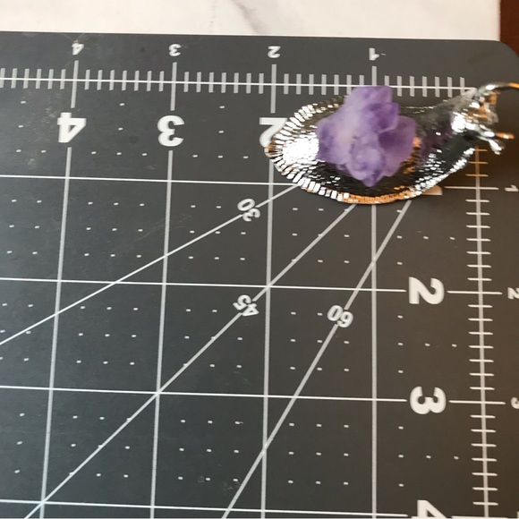 Amethyst Snail - Picture 6 of 7